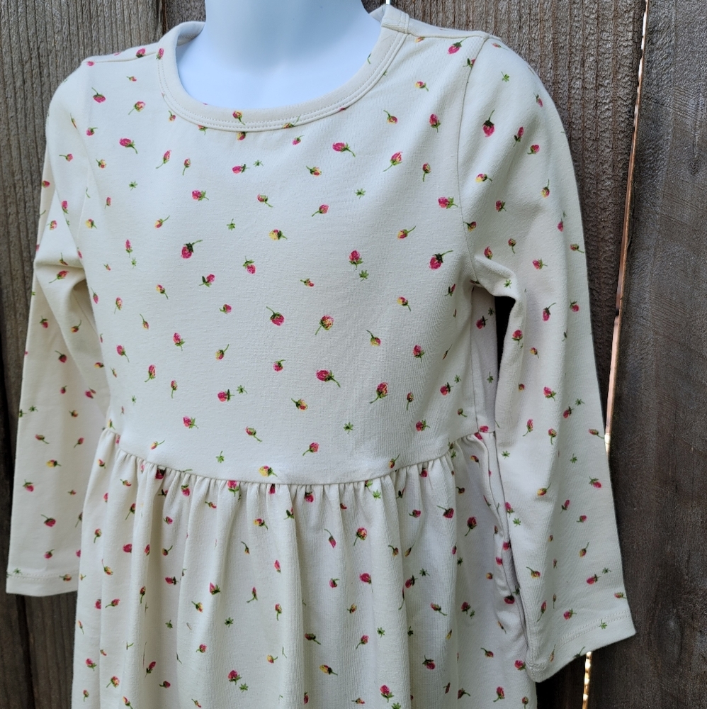 New! Crewcuts Girls long sleeve skater dress Floral NWT